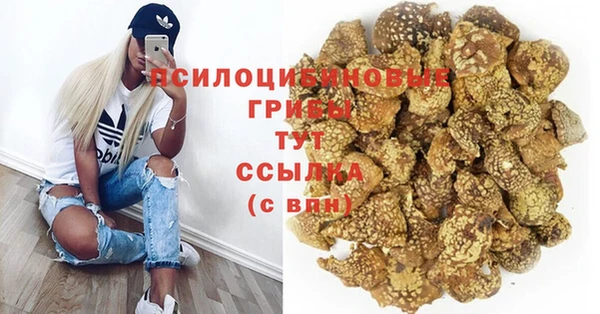 прущие грибы Остров