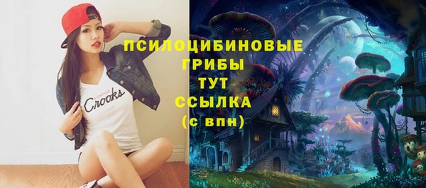 прущие грибы Остров